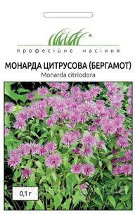 Насіння Монарда (Бергамот) 0.1 г / Hem Zaden 11209 фото