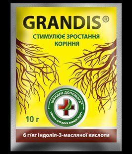 Регулятор росту кореня Грандіс 10г 11102 фото