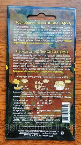 Чорнобривці Іспанська парча 10833 фото