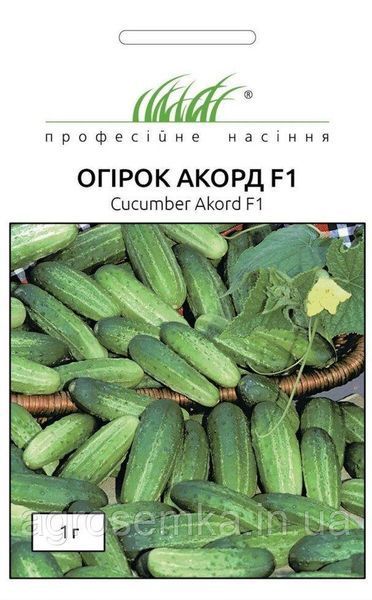 Семена Огурец Акорд F1 20 шт / Bejo Zaden 10039 фото
