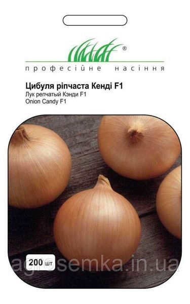 Семена Лук Кэнди F1 1г / Seminis 10933 фото