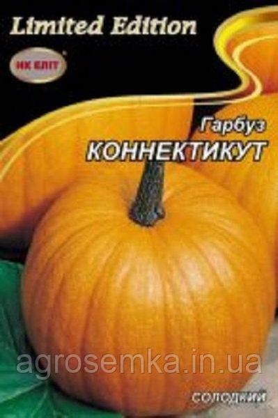 Насіння Гарбуз Коннектикут 10г 10718 фото