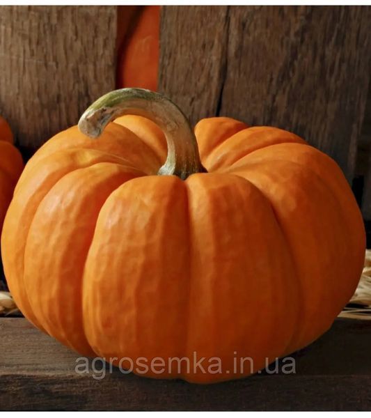 Тыква Вест 10шт / Lark seeds 11601 фото