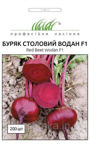 Семена Свекла столова Водан F1 10г / Bejo Zaden 11602 фото