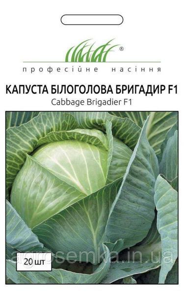 Семена Капуста Бригадир F1 20шт / Clause 10090 фото