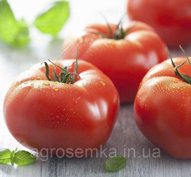 Семена Томат Уракан F1 20 шт / United Genetics 10404 фото