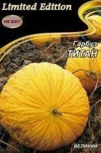 Семена Тыква Титан 20 г 10720 фото