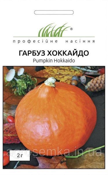 Семена Тыква Хоккайдо 2г / Hem Zaden 10941 фото