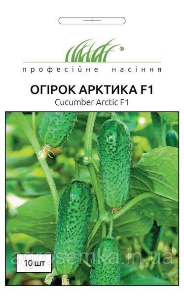 Семена Огурец Арктика F 10 шт / NongWoo Bio 11333 фото