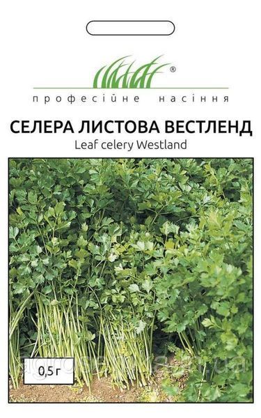 Семена Сельдерей листовой Вестленд 0,5 г / Hem Zaden 10615 фото