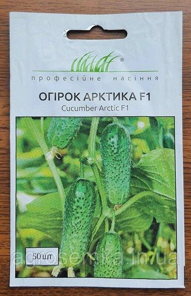Семена Огурец Арктика F 10 шт / NongWoo Bio 11333 фото