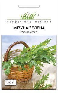 Насіння Мізунь червона 0.3 г / Hem Zaden 11219 фото
