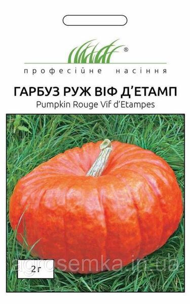 Семена Тыква Руж Виф Дьетамп 10шт / Tezier 10942 фото