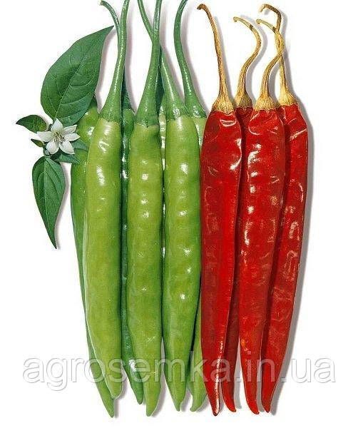 Семена Перец Ангарика F1 10 шт / NongWoo Bio 10565 фото