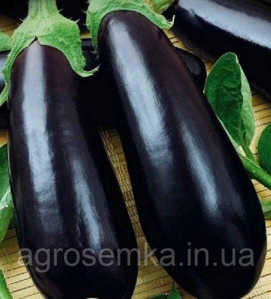 Семена Баклажан Алмаз 0,5г 10048 фото