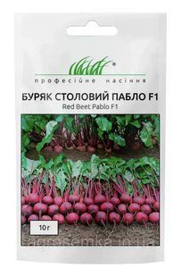 Буряк столова Пабло F1 10г / Bejo Zaden 10293 фото