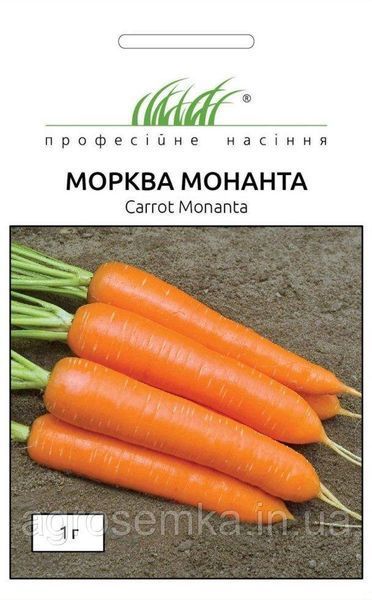 Семена Морковь Монанта 1г / Rijk Zvaan 10893 фото