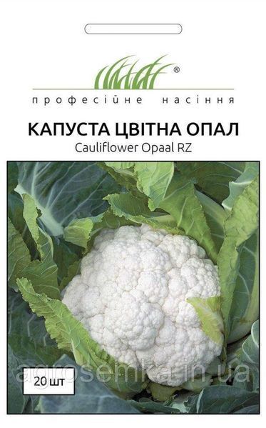 Семена Капуста цветная Опал 20шт / Rijk Zvaan 10413 фото