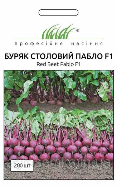 Семена Свекла столова Пабло F1 10г / Bejo Zaden 10293 фото