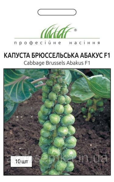 Семена Брюссельская капуста Абакус F1 / Syngenta 10099 фото