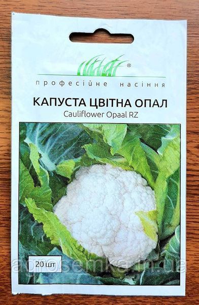 Семена Капуста цветная Опал 20шт / Rijk Zvaan 10413 фото
