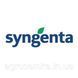 Перець Барбі 8шт / Syngenta 10566 фото 5