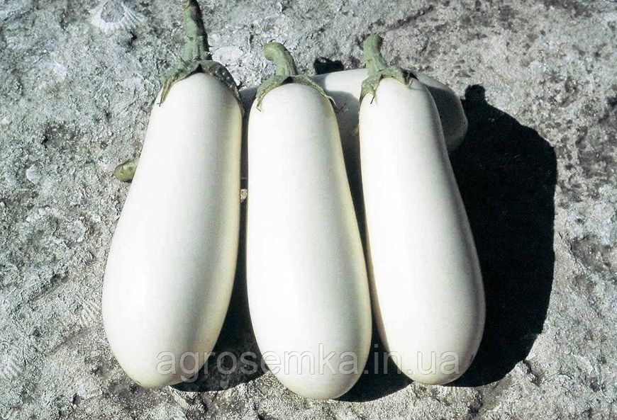 Семена Баклажан Бибо F1 15 шт / Seminis 10464 фото