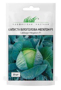 Капуста Мегатон F1 20 шт / Bejo Zaden 11613 фото