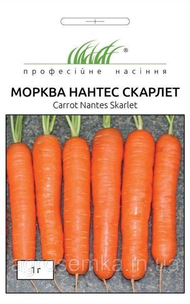 Семена Морковь Нантес Скарлет 1г/ United Genetics 10894 фото