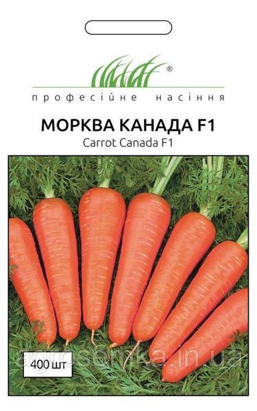 Семена Морковь Канада F1 400шт / Bejo Zaden 10205 фото