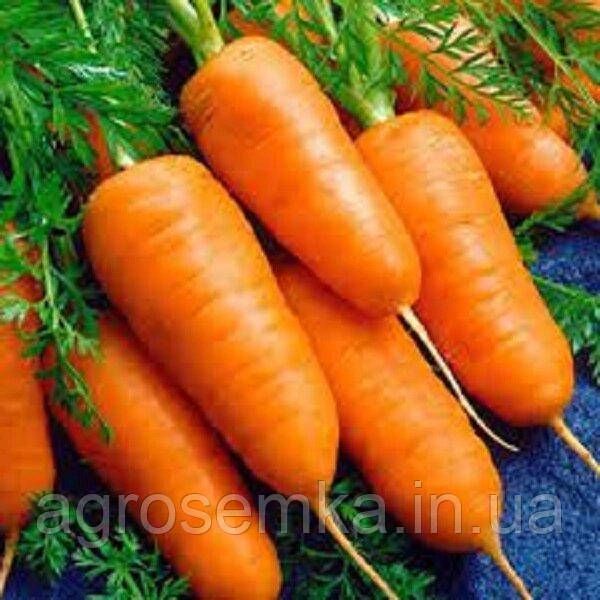 Семена Морковь Каротель 10г 11446 фото
